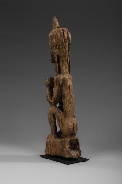 Protective ancestor statue from Leti Island...