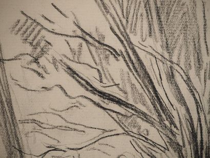 Maximilien LUCE (1858-1941)
Old tree with...