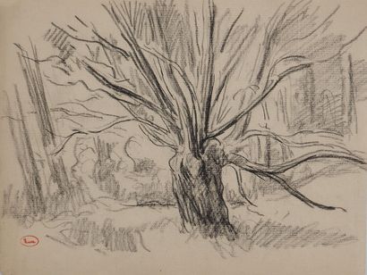 Maximilien LUCE (1858-1941)
Old tree with...