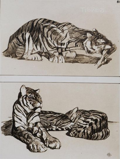 Mathurin MEHEUT (1882 - 1958)
Le Tigre, 1911
Lithographie...