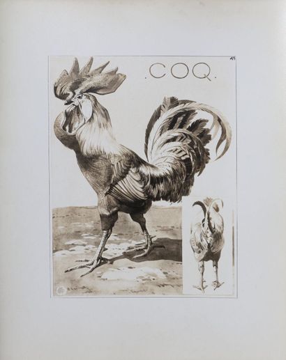 Mathurin MEHEUT (1882 - 1958)
Le Coq, 1911
Lithographie...