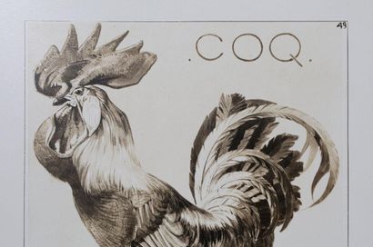 Mathurin MEHEUT (1882 - 1958)
Le Coq, 1911
Lithographie...