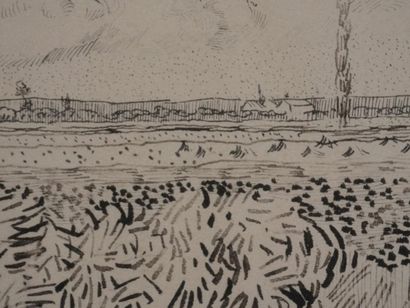 After Vincent VAN GOGH (1853-1890)
Fields...