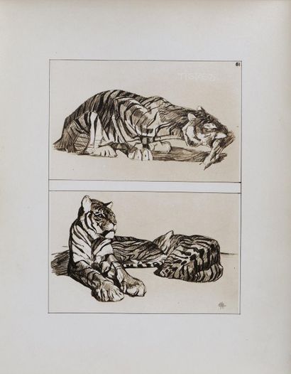 Mathurin MEHEUT (1882 - 1958)
Le Tigre, 1911
Lithographie...