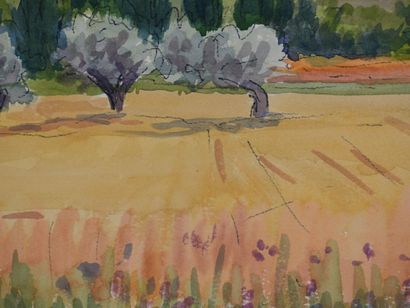 Salomon Alfred BOISECQ (1901-2005)
Olive...