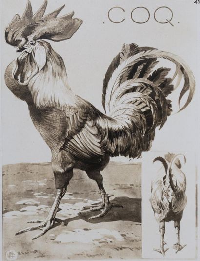 Mathurin MEHEUT (1882 - 1958)
Le Coq, 1911
Lithographie...