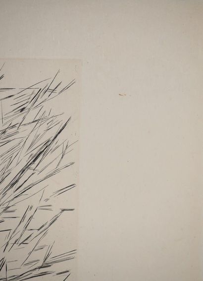 Maria Helena VIEIRA DA SILVA (1908-1992)
Trame...