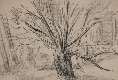 Maximilien LUCE (1858-1941)
Old tree with...
