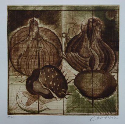 Brigitte COUDRAIN
Onions, 2001
Original etching
Signed...