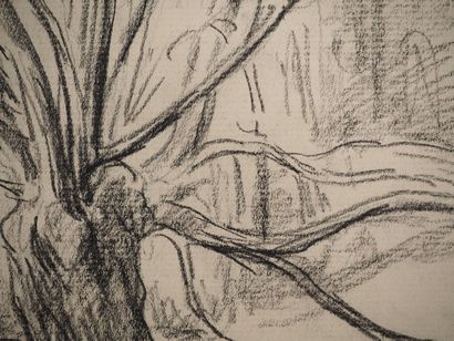 Maximilien LUCE (1858-1941)
Old tree with...