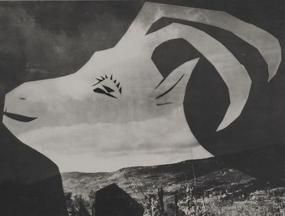Pablo PICASSO (1881-1973)
The goat on the...