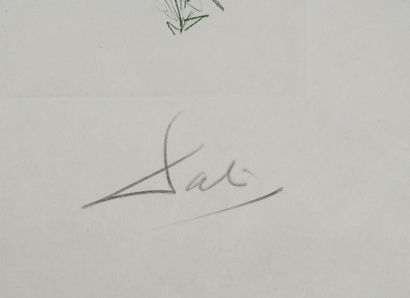 Salvador DALI (1904-1989)
Tristan and the...