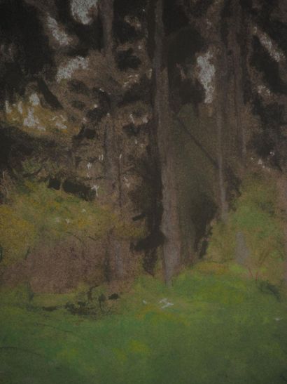 Edouard VUILLARD (1868-1940)
Les sapins,...