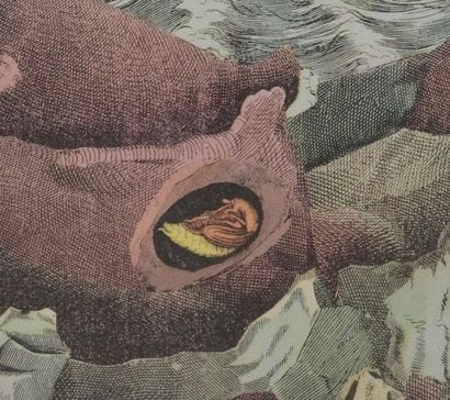 Max ERNST (1891-1976)
Storm at sea, 1971
Photolithograph...