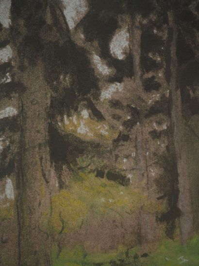 Edouard VUILLARD (1868-1940)
Les sapins,...