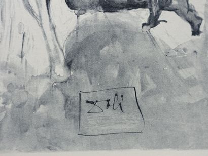 Salvador DALI (1904-1989)
Divine Comedy,...