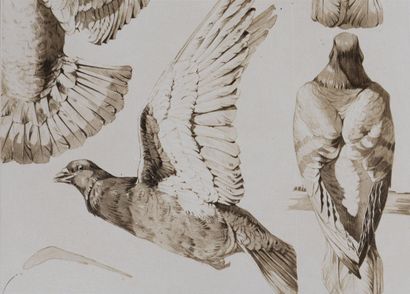 Mathurin MEHEUT (1882 - 1958)
Le Pigeon,...