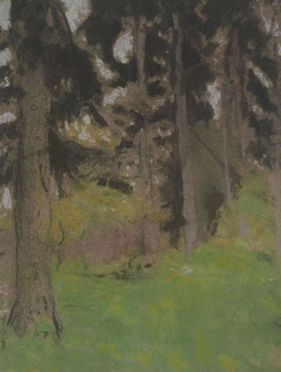 Edouard VUILLARD (1868-1940)
Les sapins,...