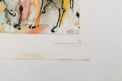Salvador DALI (1904-1989)
(SERIES LES CHEVEUX...