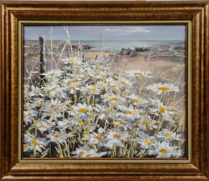 Robert JOSSET (b. 1949)
Marguerites (à Ouessant),...