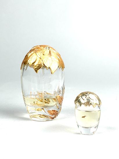 TORENTE
L'or de torente, eau de parfum, 50...