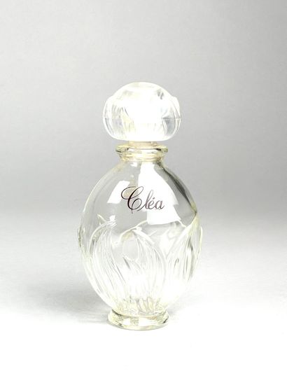 Set of ten empty bottles including : 
Montana,...