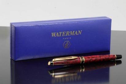 WATERMAN
Fountain pen in gilded metal and...