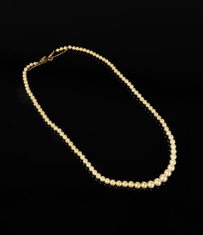 Collier de perles en chute de synthèse fermoir...