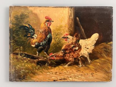 Henry SCHOUTEN (1857/64-1927) 
Coq et ses...