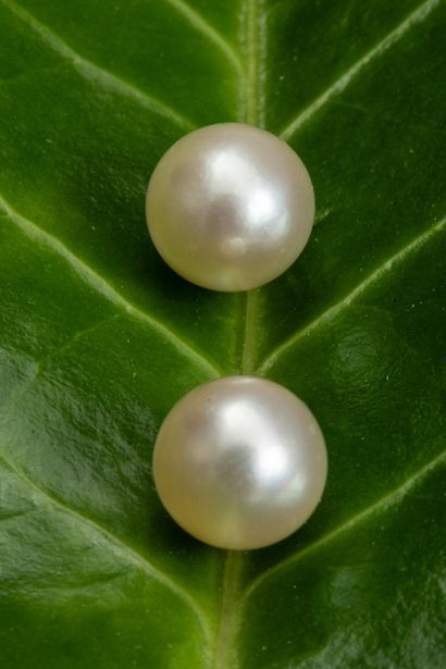 Pair of stud earrings in 750-thousandths...