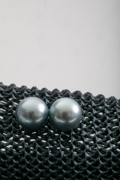 Paire de clous d'oreilles en or jaune et...