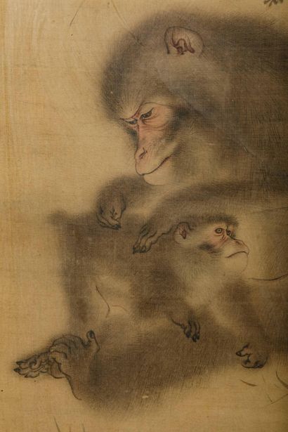 Mori Sosen (Japon, 1747-1821)
Encre et couleurs...