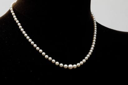 Necklace of pearls in 750 thousandths yellow...