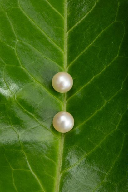 Pair of stud earrings in 750-thousandths...