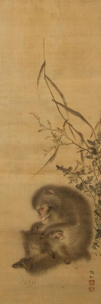 Mori Sosen (Japon, 1747-1821)
Encre et couleurs...