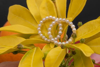 Pair of soft rings made of small cultured...