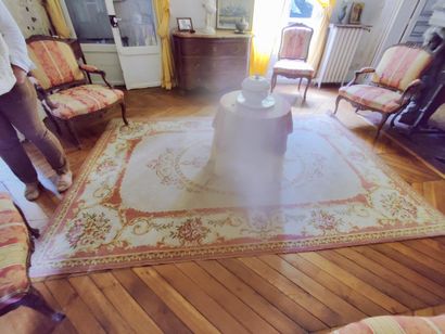 Grand tapis mécanique dans le goût d'Aubusson
Légers...