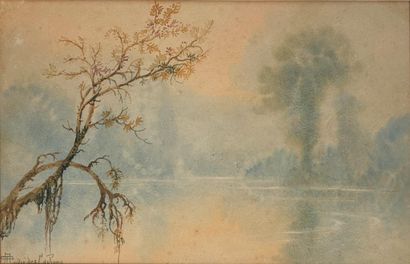 André Stanislas Albert DES GACHONS (1871–c....