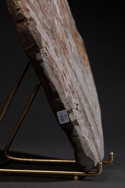 Fossile de collection
Grande crinoïde (Lys...