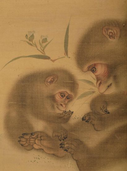 Mori Sosen (Japon, 1747-1821)
Encre et couleurs...