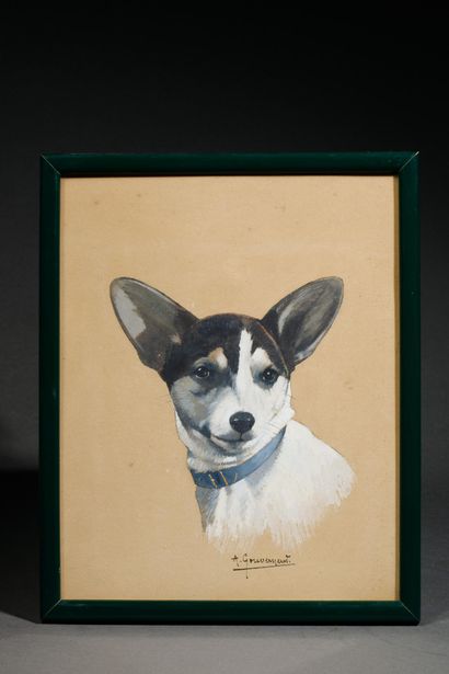 Arthur GOUVERNEUR (1852–?)
JACKAL, 1947 &...