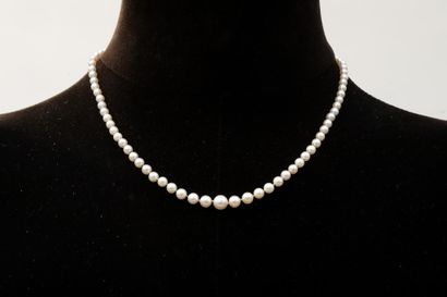Necklace of pearls in 750 thousandths yellow...