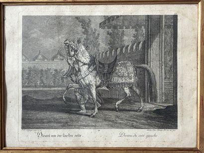 After Johann Elias RIDINGER (1698–1767)
Engraved...