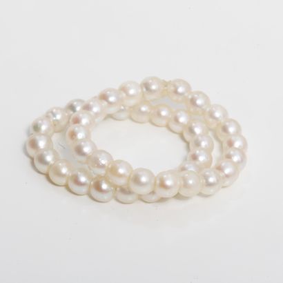 Pair of soft rings made of small cultured...