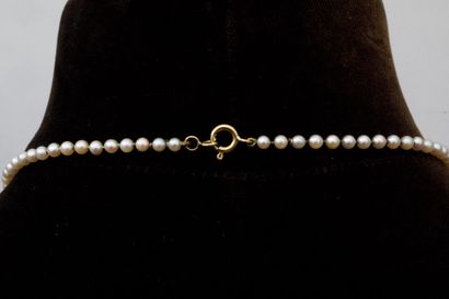Necklace of pearls in 750 thousandths yellow...