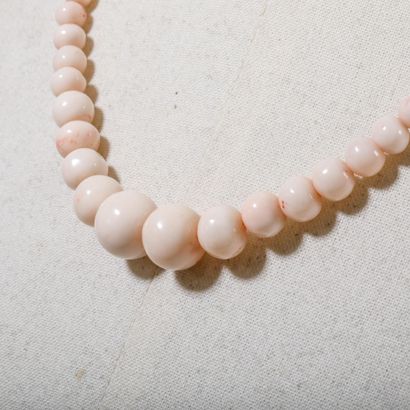 Light pink coral pearl necklace, known as...