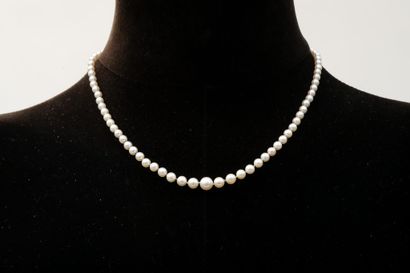 Necklace of pearls in 750 thousandths yellow...