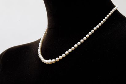 Necklace of pearls in 750 thousandths yellow...