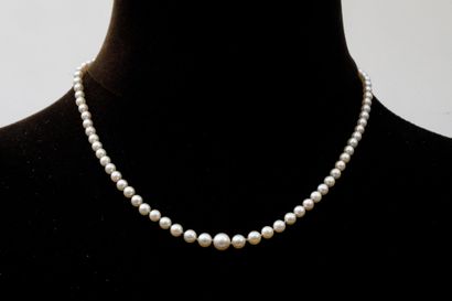 Necklace of pearls in 750 thousandths yellow...