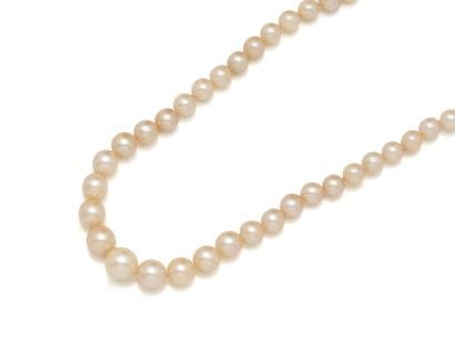 Necklace featuring a drop of cultured pearls,...